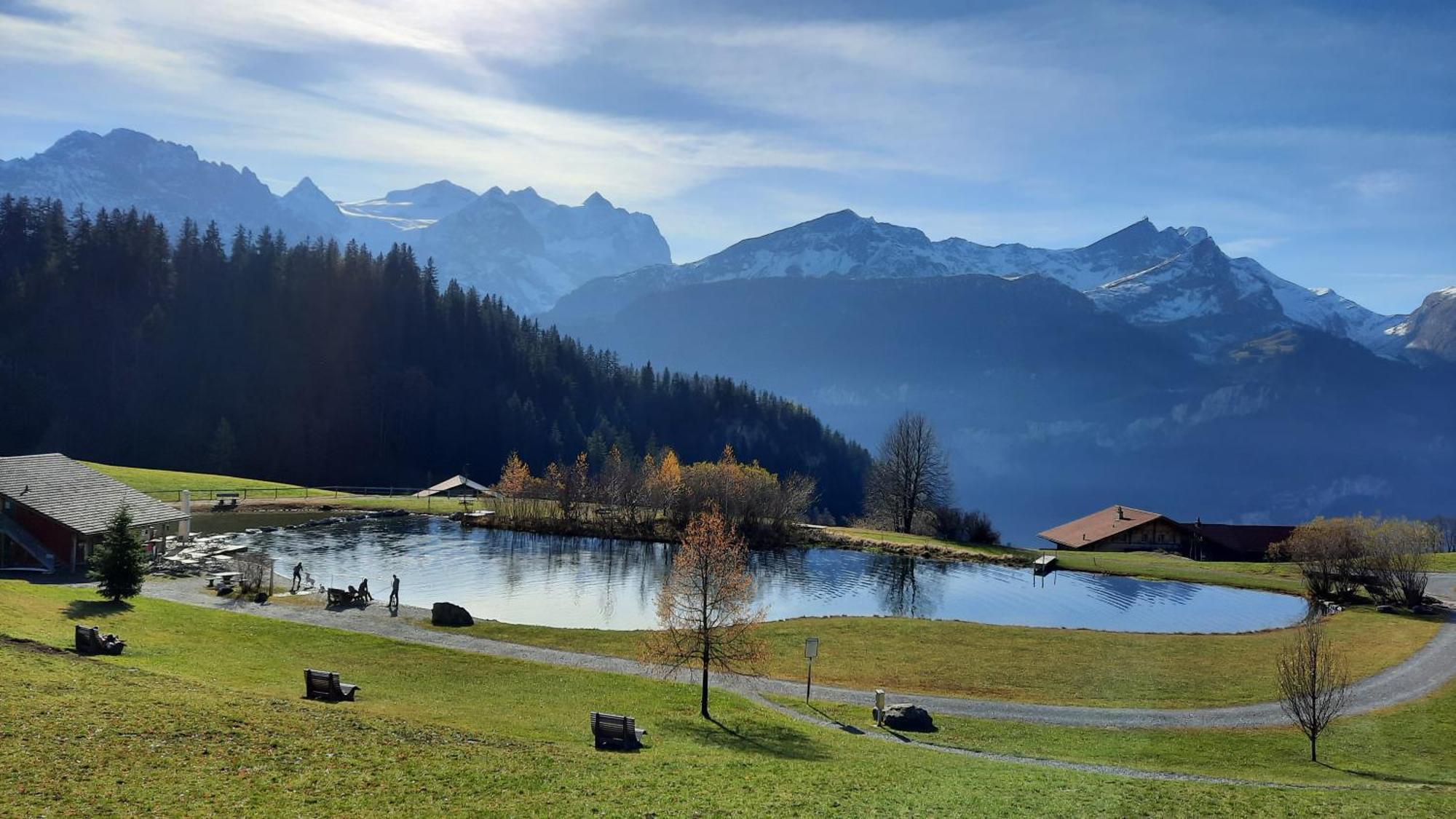 Chalet Blatti Hasliberg Bilik gambar